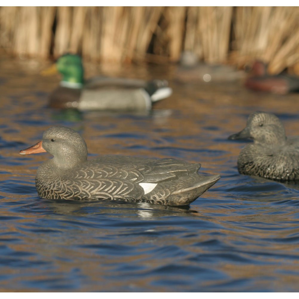 GHG Life Size Series Gadwall Duck Decoys