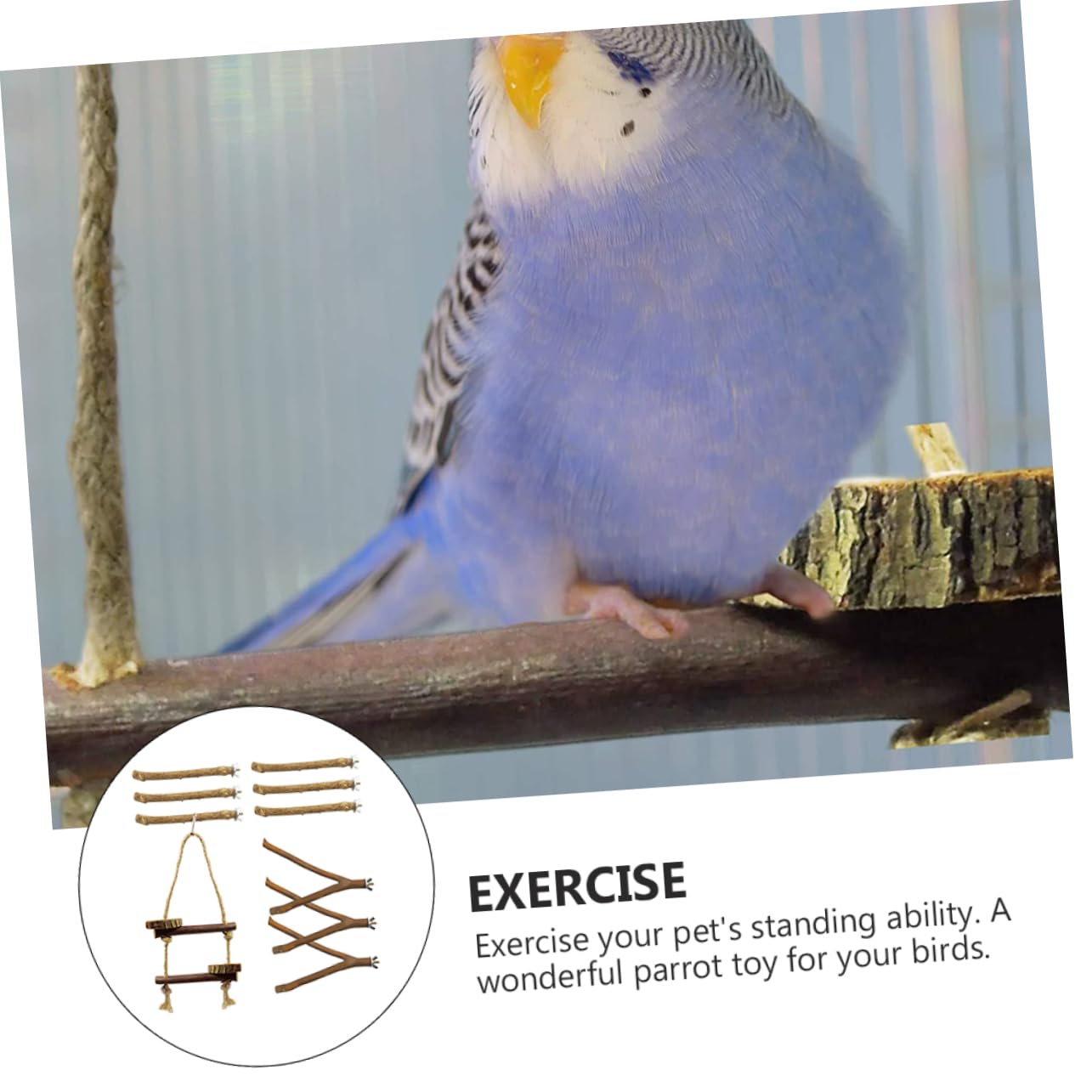 YARNOW 30 Piezas Loro de Juguete Jaula pajaros jaulas para pajaros Soporte para Percha de pájaro Percha de Loro pequeña Estante para Loros Estante de Percha de Loro Iniciar sesión Perca