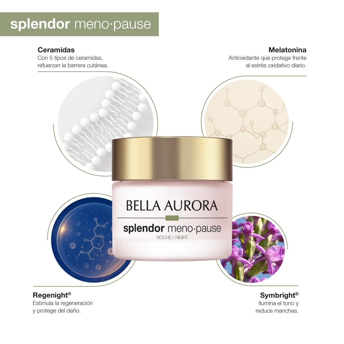 Bella Aurora Splendor Menopause Noche | Crema antiedad correctora para piel madura | Regenera durante la noche, reduce arrugas, aporta firmeza y densidad | Con ceramidas y melatonina | 50ml