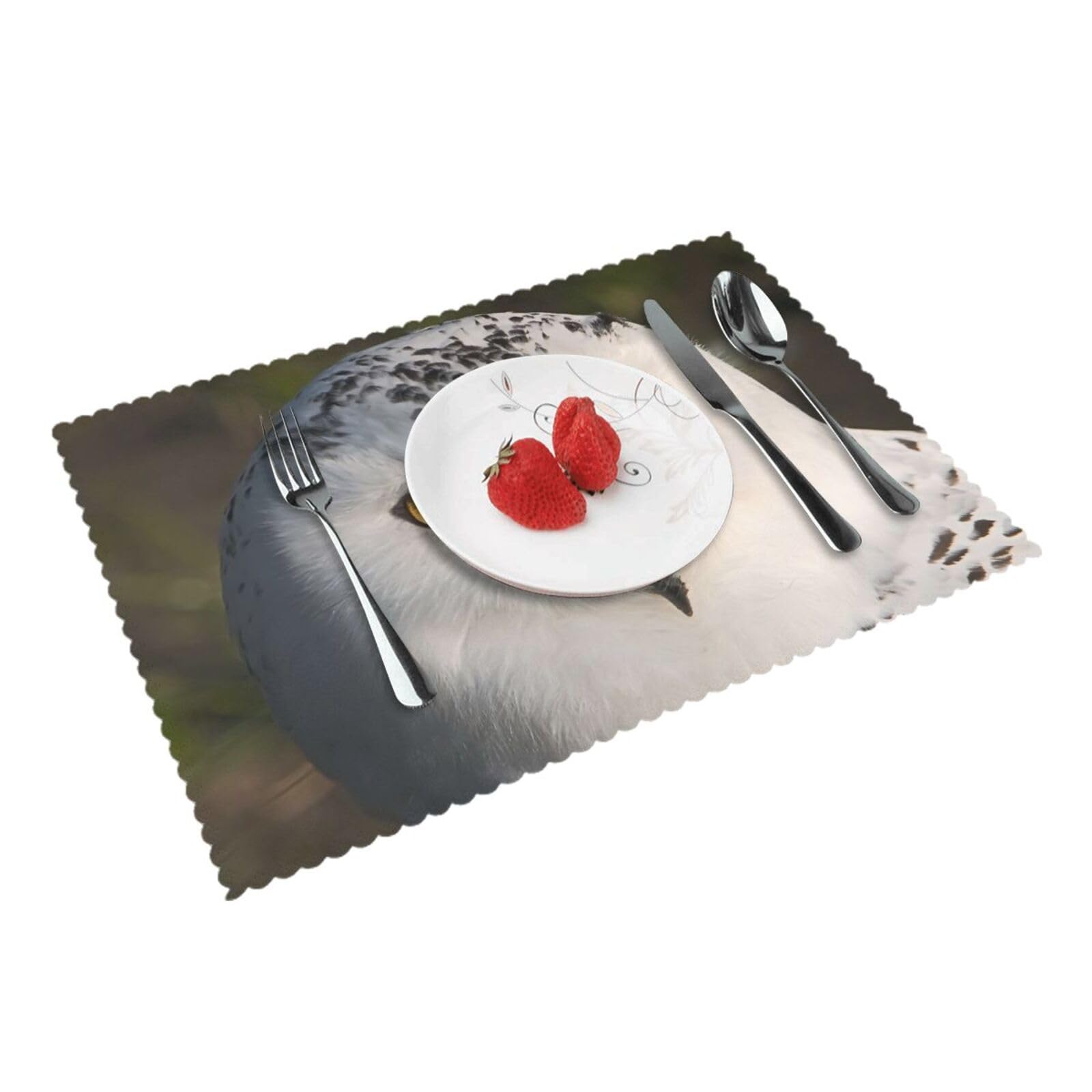 Bnvsadc Snowy Owl Eyes 4 Pcs Heat Resistant Placemat 45X30 Cm, Printed Non-Slip Place Mats For Kitchen Dining Table Indoor Outdoor