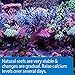 API MARINE CALCIUM Reef Aquarium Calcium Solution 16-Ounce Bottle