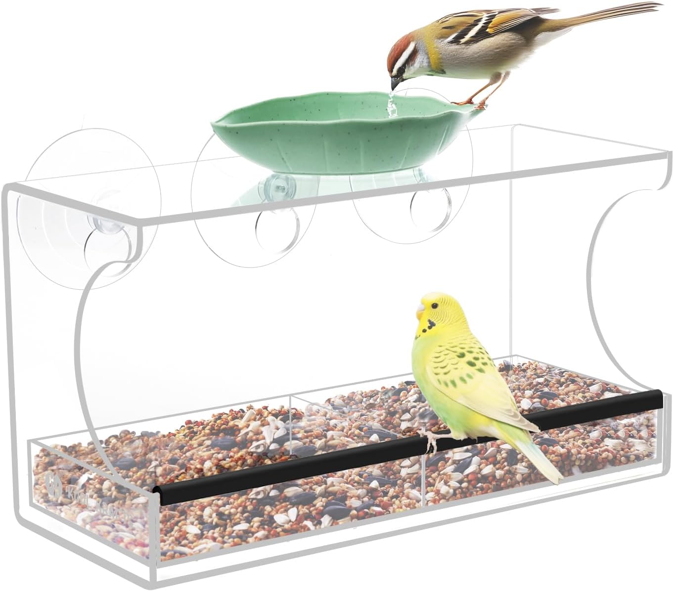 Kool Krafts Window Bird Feeder Kit for Kids & Families – Includes 1 lb USA Made Bird Food, 24-Page Educational Bird Guide Booklet, Removable Tray & Water Cup