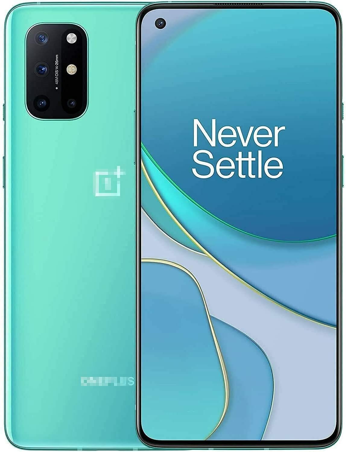 for Oneplus 8T Back Glass Cover Replacement with Camera Glass LensFlash for OnePlus 8T 5G KB2000 KB2005 (Green)