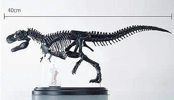 【プラモデル】ティラノサウルス骨格モデル 約35cm プラモデル】ティラノサウルス骨格モデル 約35cm - メルカリ