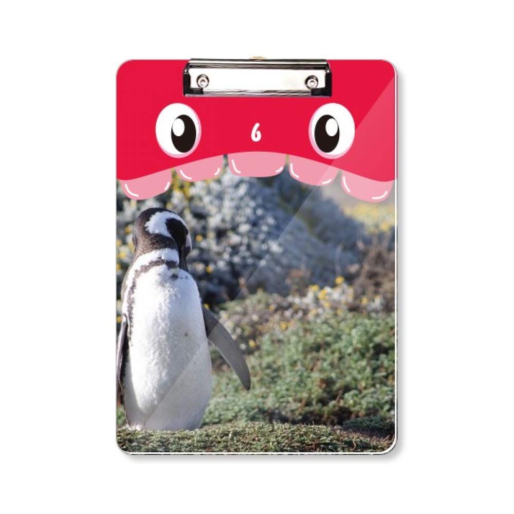 Porte-bloc A4 pingouin support de documents dossier pad Spheniscidae