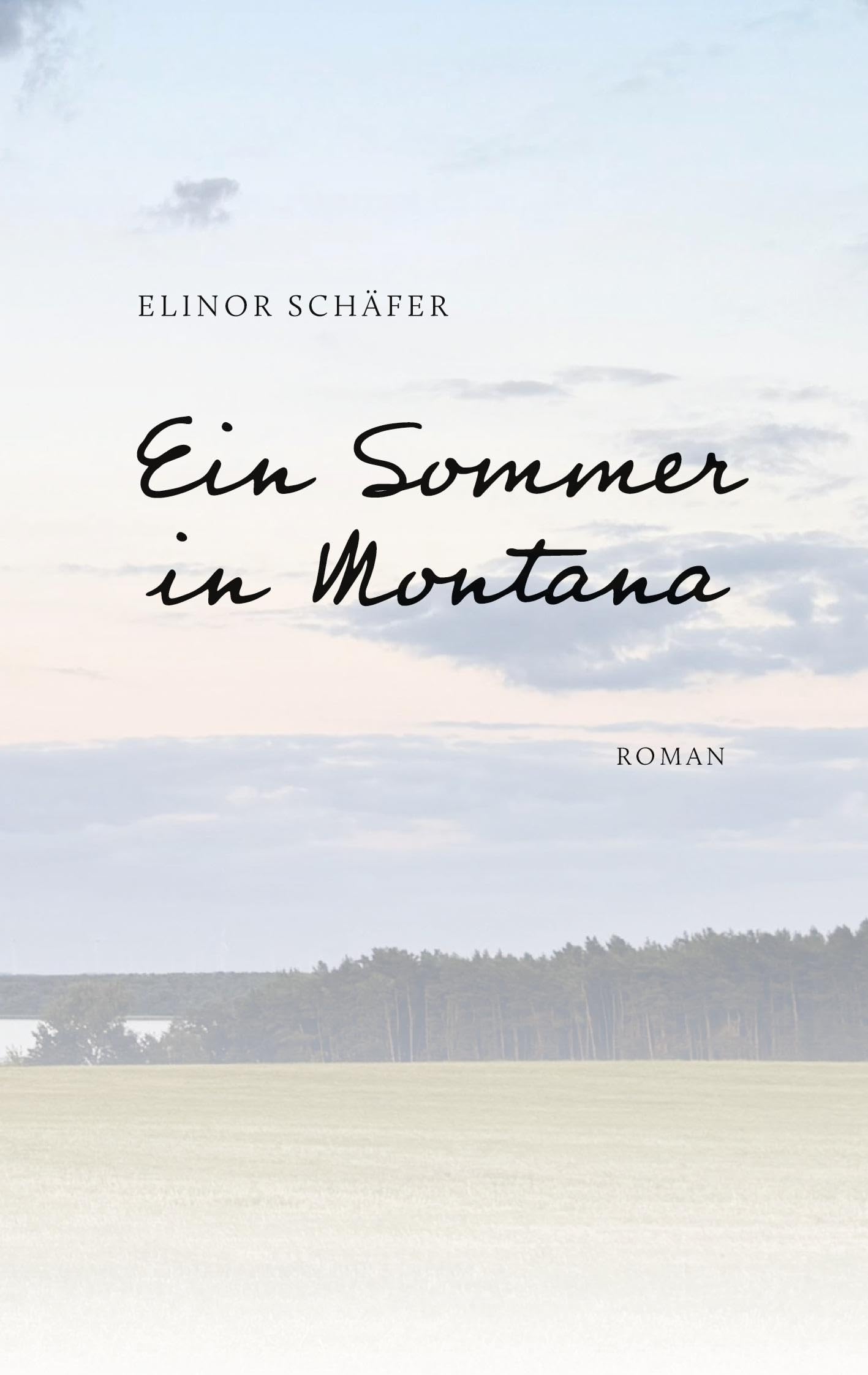 Ein Sommer in Montana: Roman