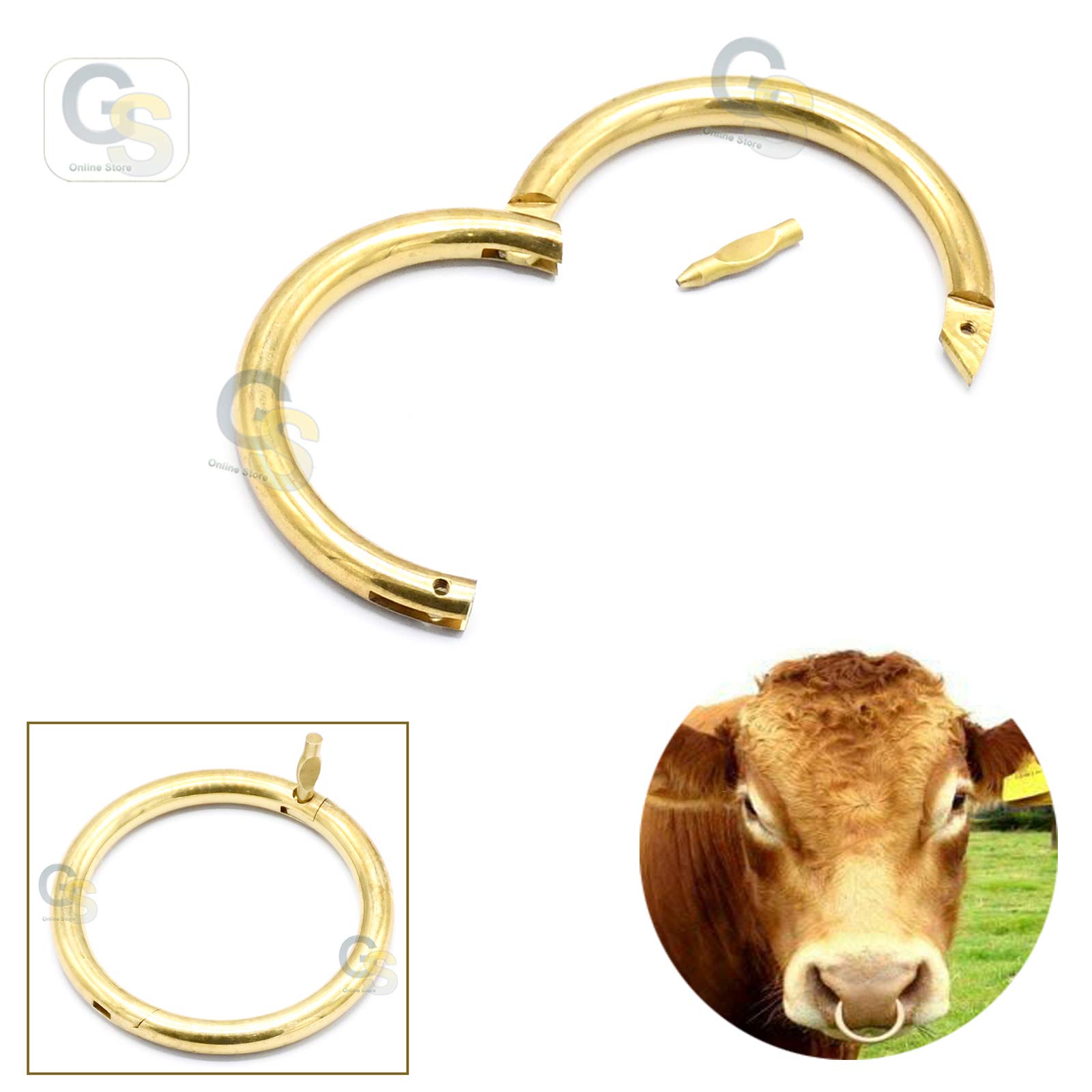 Bull Nose Ring, Brass, 1/4" Thick, by G.S Online Store