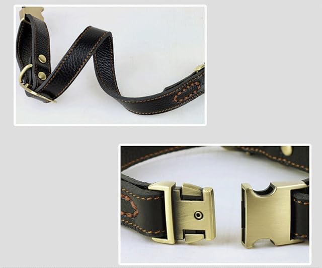 Foto 5 de 6 de Collar para Perro Collar básico de Piel con Cierre de Clic, Ajustable