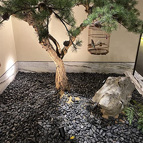 FANTIAN 40 lbs Black River Rocks for Landscaping, 2-3 inch Pebbles for Indoor Plants, Large Decorative Stones for Planters Aquarium Fish Tank and Garden Rocks by FANTIAN - Image 6