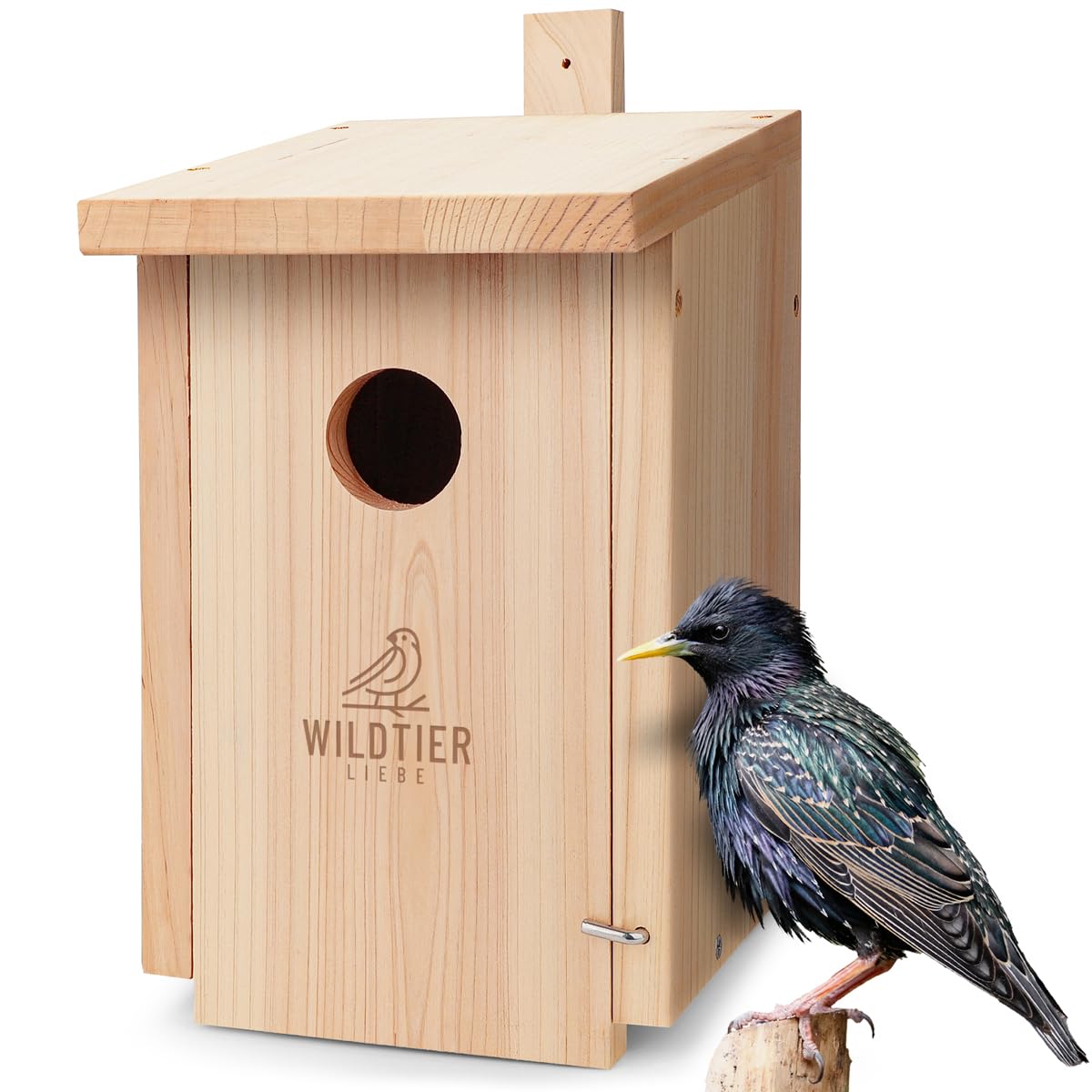 wildtier liebe Starenkasten Großer Nistkasten für Stare - Vogelhaus Nistkasten für Star aus Unbehandeltem Massiv-Holz, Starennistkasten Wetterfest und Artgerecht nach NABU
