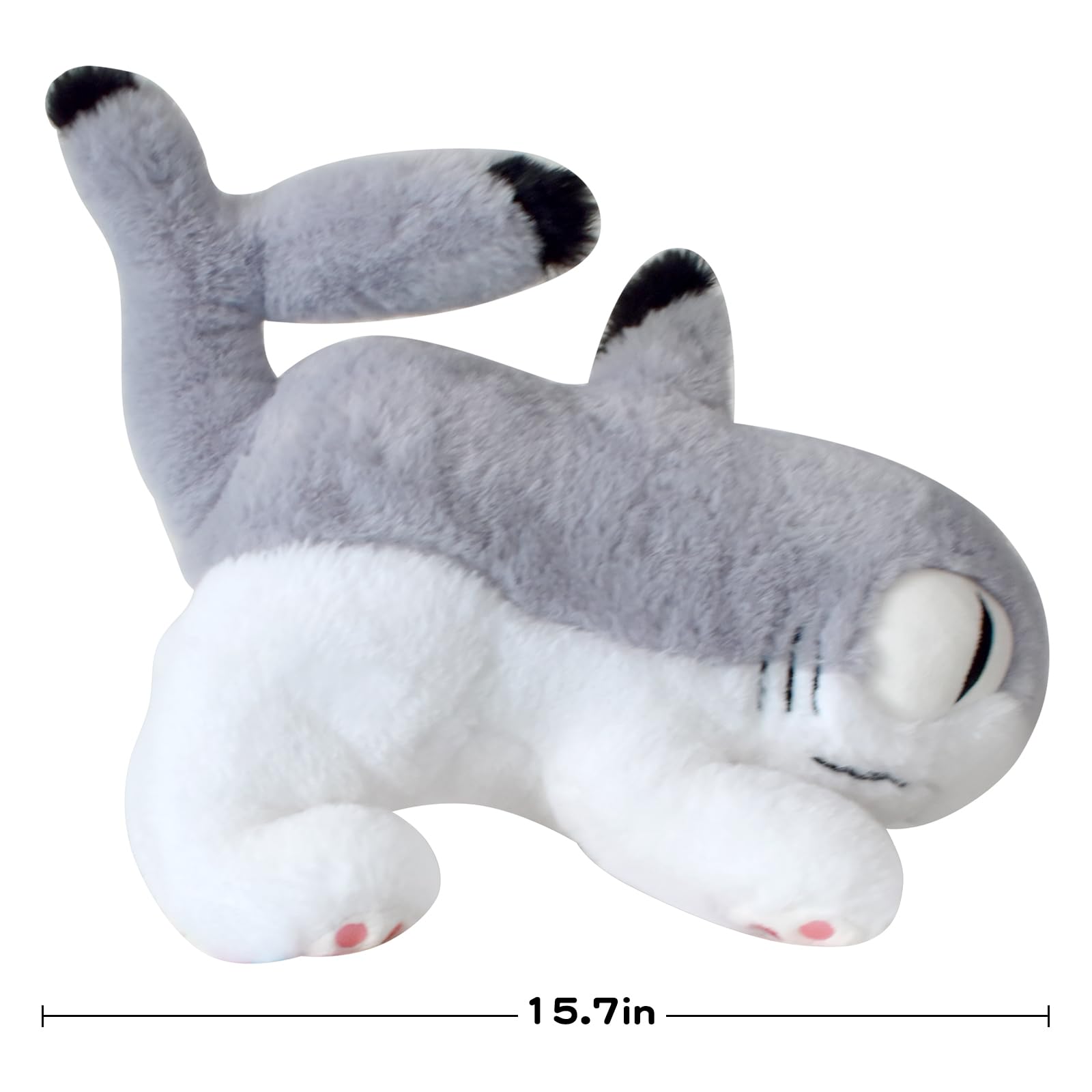 Amazon.co.jp: Sharkitty Yogin(シャーキティヨギン、オリジナル