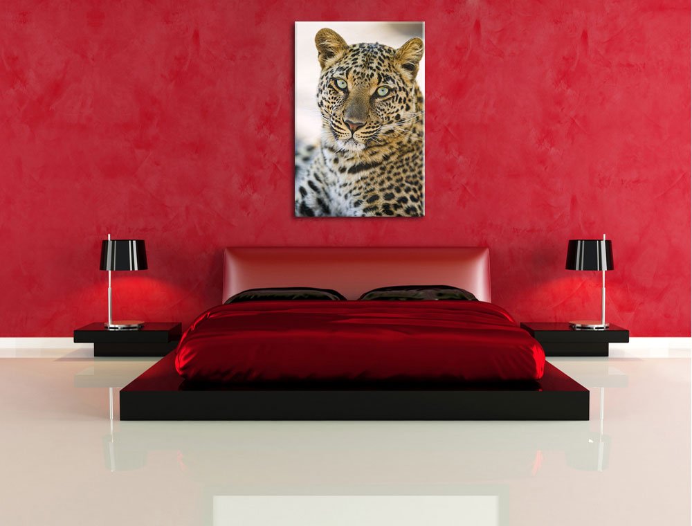 Leinwandbild "Leopard In Roten Pfingstrosen" – 5-teilig, 152 X 81 Cm | Schwarz-Weiß Wildtiermotiv, Fertig Zum Aufhängen