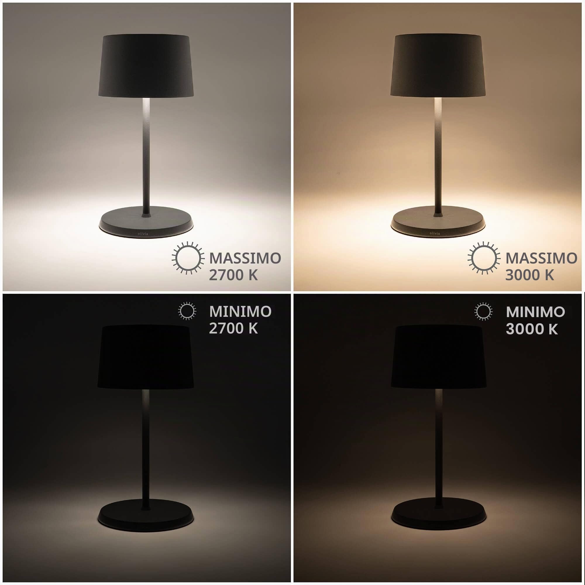Zafferano, Lampada Olivia Mini, Lampada da Tavolo Portatile e Ricaricabile con Controllo Touch, Adatta per Salotto ed Esterni, Dimmer, 2700-3000 K, Altezza 22 cm, Colore Grigio Scuro