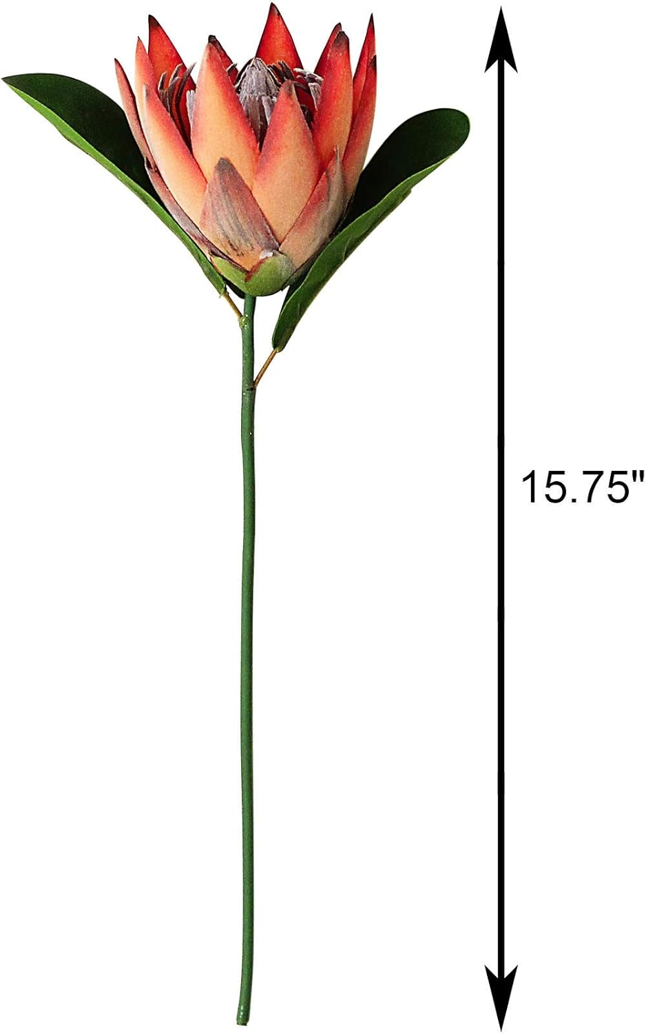 Tinsow Artificial Protea Cynaroides for Flower Arrangements, Faux Protea for Table Decoration Centerpieces, 3 Pieces Silk Bouquet for Wedding (3, Orange) - Image 4