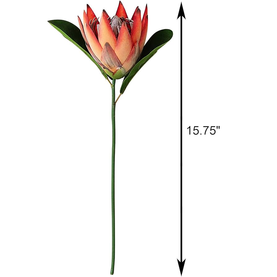 専用＊プロテア&アマランサス　シックなフェイクリース 専用＊プロテア&アマランサス シックなフェイクリース