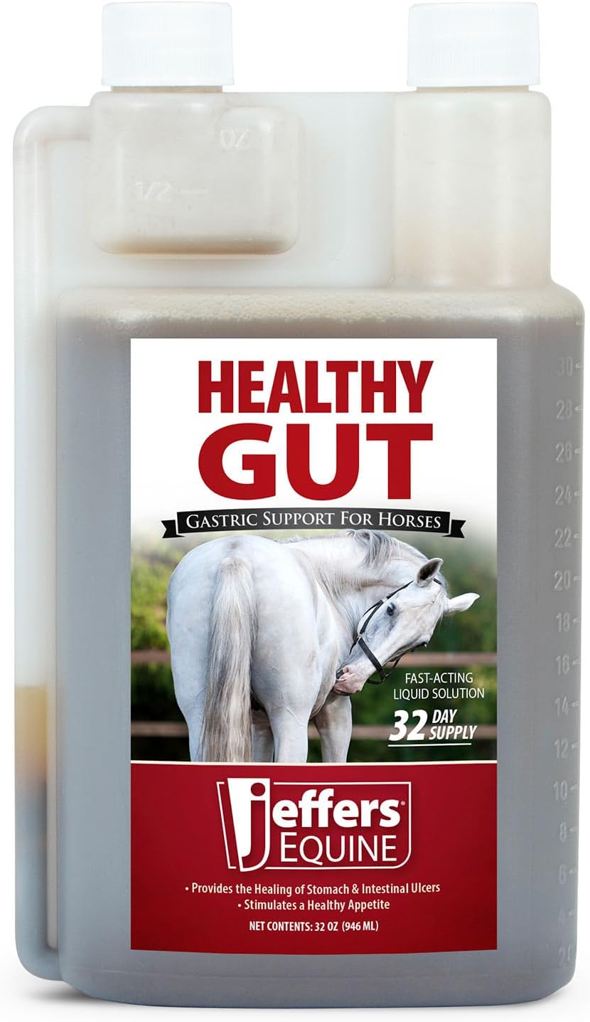 Jeffers Equine Healthy Gut Gastric Support – Liquid Digestive Supplement for Horses Prone to Ulcers – Easy to Feed Formula, Supports Gut Comfort & Digestive Balance – 1 Gallon (128 Day Supply)