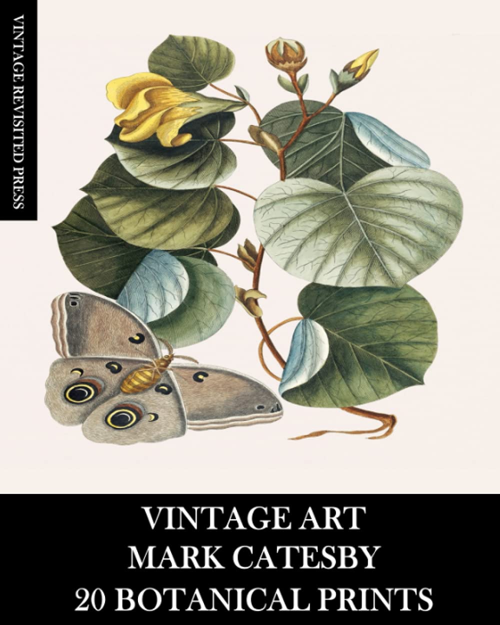 Vintage Art: Mark Catesby: 20 Botanical Prints: Ephemera for Framing, Collage, Decoupage,Mixed Media and Junk Journals