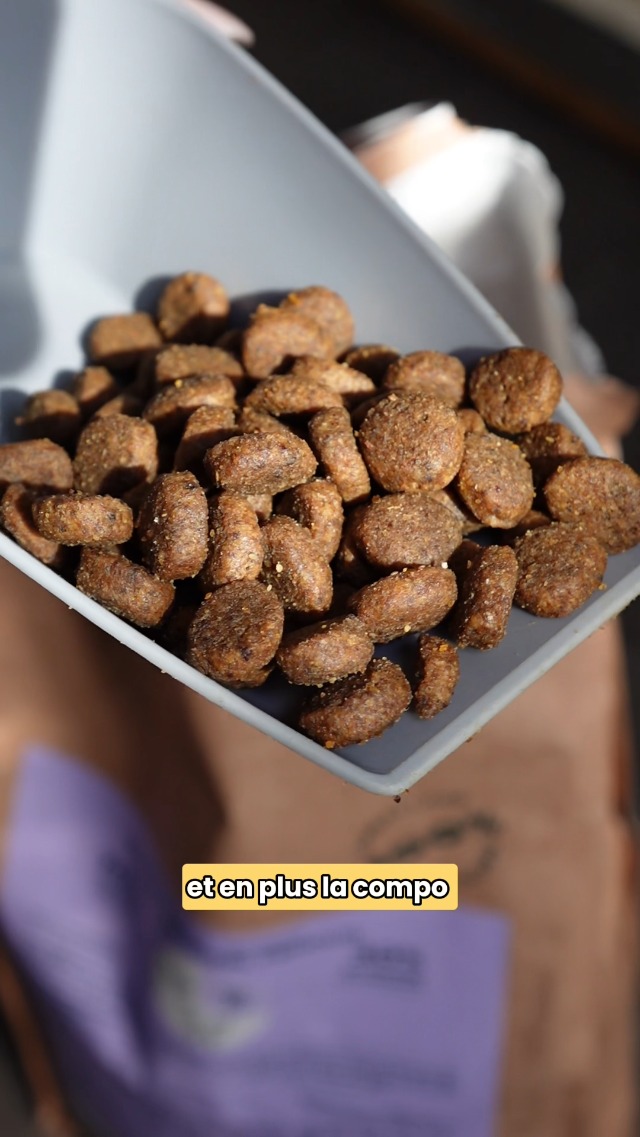 Rime Plainte OS Croquettes Chien Sans Céréales Dollars Américain Abdomen Franc