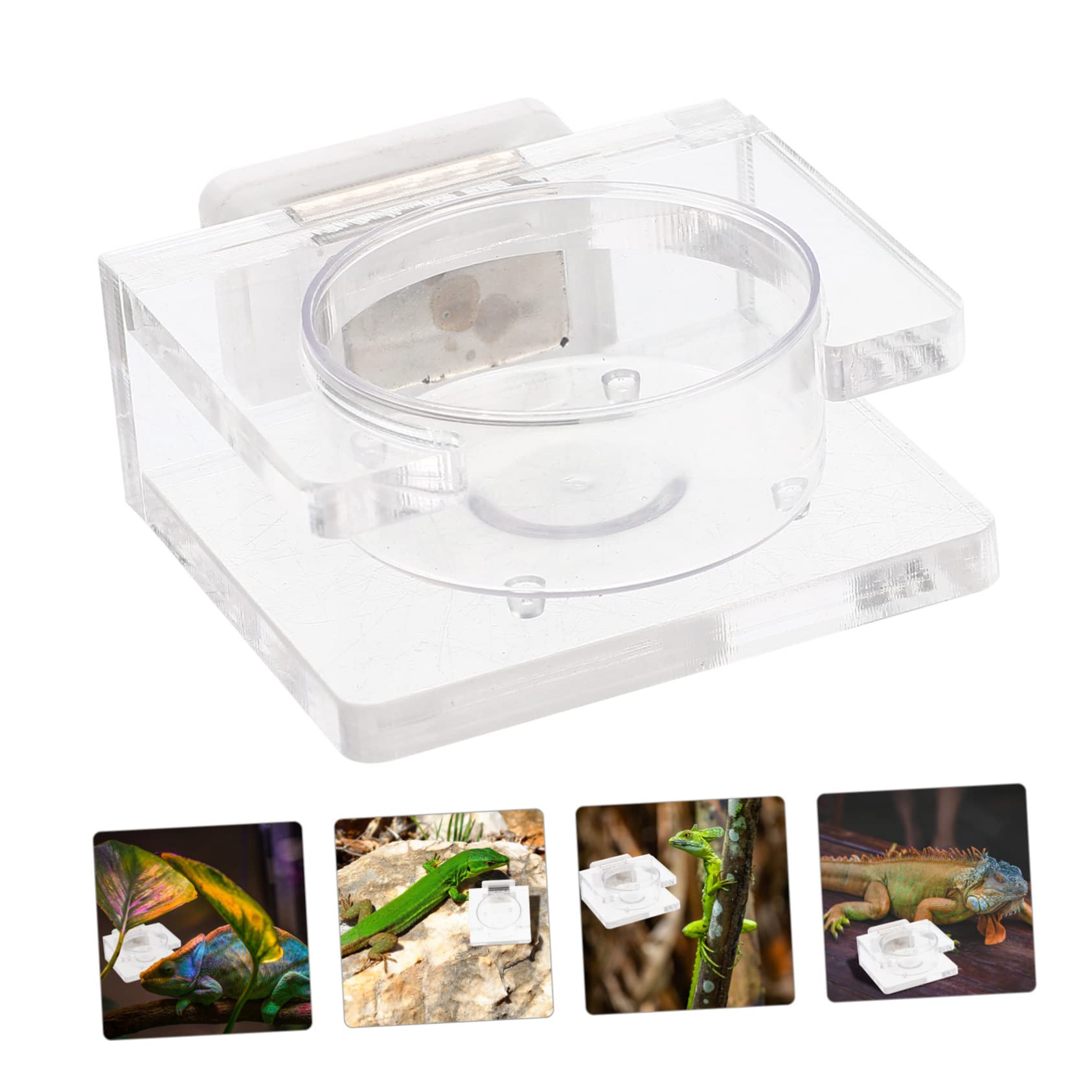 POPETPOP 5pezzi Ciotola Trasparente per Alimentazione Rettili Mangiatoia per Gecchi con Ventosa Resistente Facile da Pulire e Sicura per Animali Domestici Accessorio per Terrario