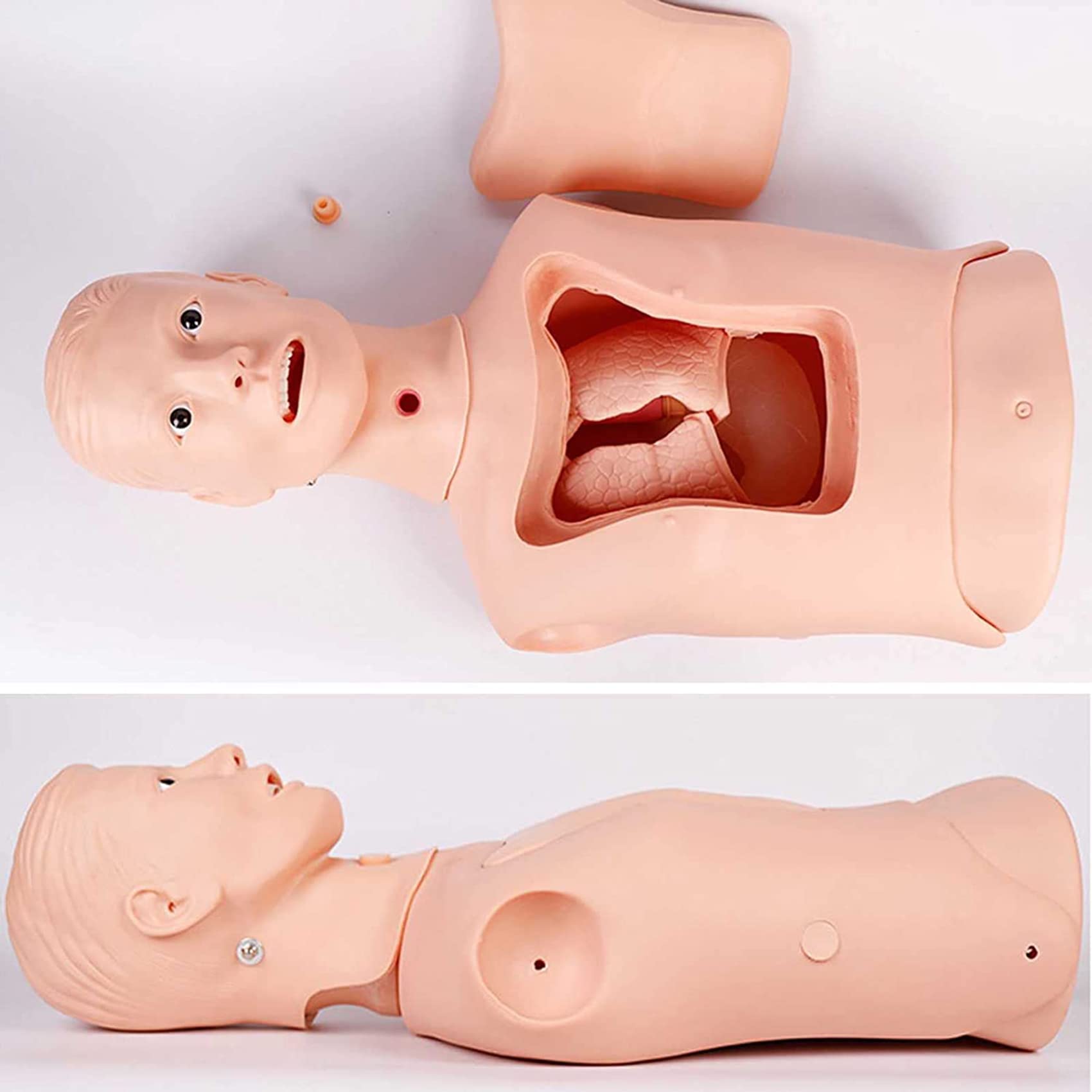 Puppen-Übungsmodell, fortgeschrittenes Modell für die Magensonde und Luftröhrenpflege, Modell für die Magenspülung und Tracheotomie für Krankenschwestern und Medizinstudenten