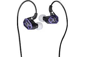 Raptgo Bridge 2BA+2DD+PZT Tribrid Origin IEM HIFI