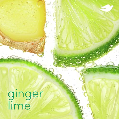 Dove Deodorant Stick Ginger Lime Aluminum Free 2.4 oz - image 4