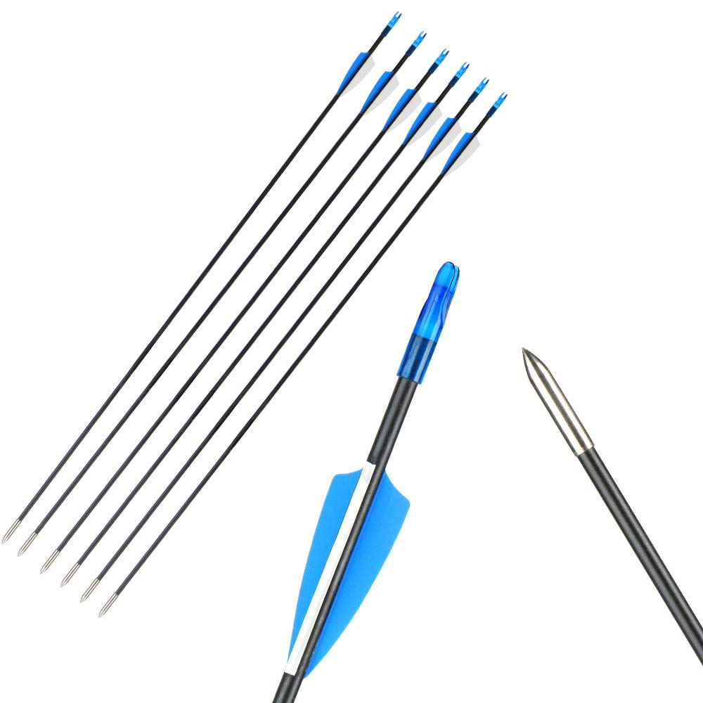 12pcs Flèches en Fibre de Verre 31 Pouces Flèches d'entraînement de Cible Spine 900 Flèches de Chasse avec Flèche Carquois pour 35 Lbs Arc Recourbé Arc Long Traditionnel
