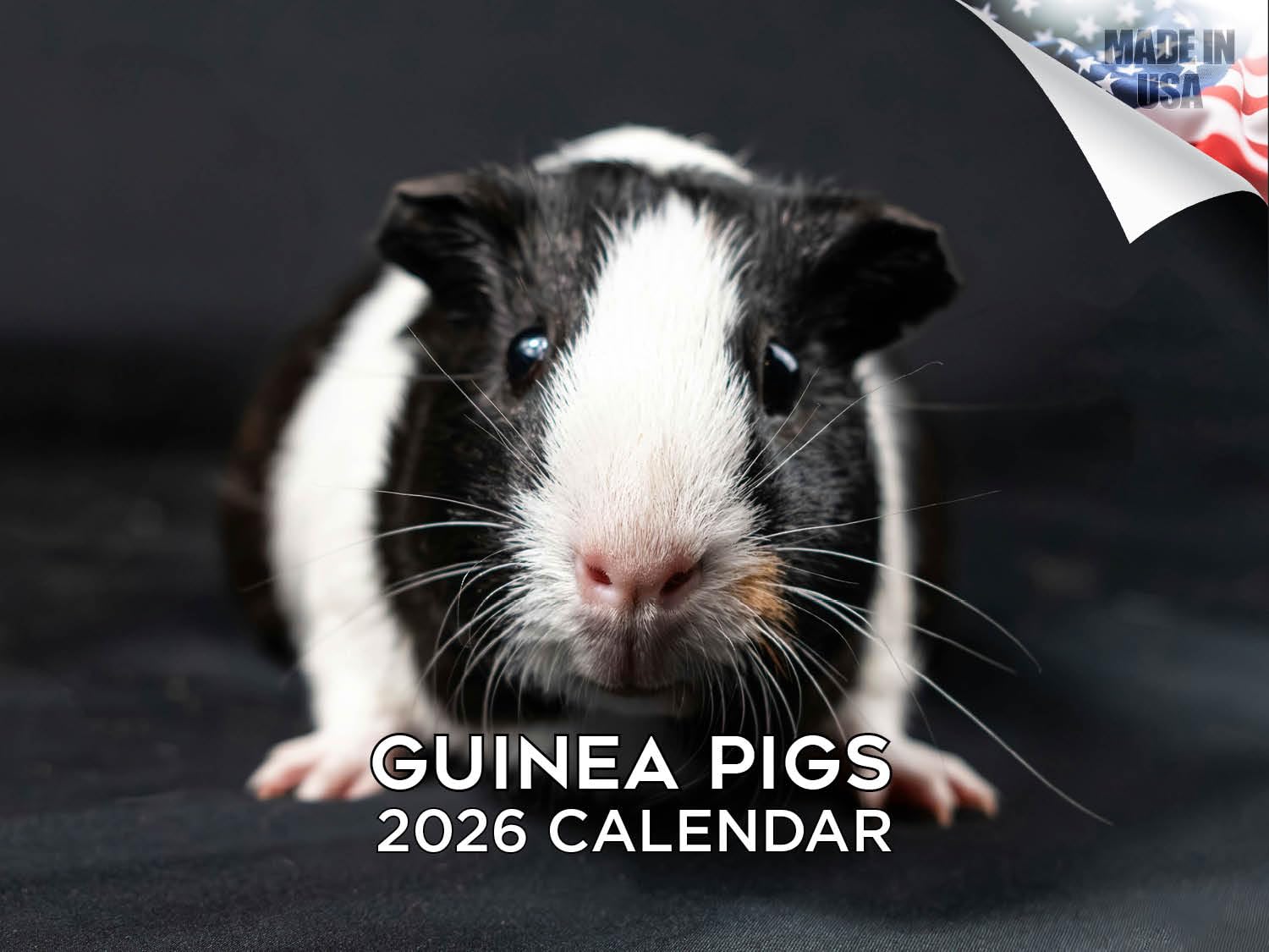 Calendario 2024 2025 de conejillos de indias, calendario mensual de pared de animales lindos, abierto de 12 x 18 pulgadas, papel grueso que no se corre, regalo, planificador académico para profesores,