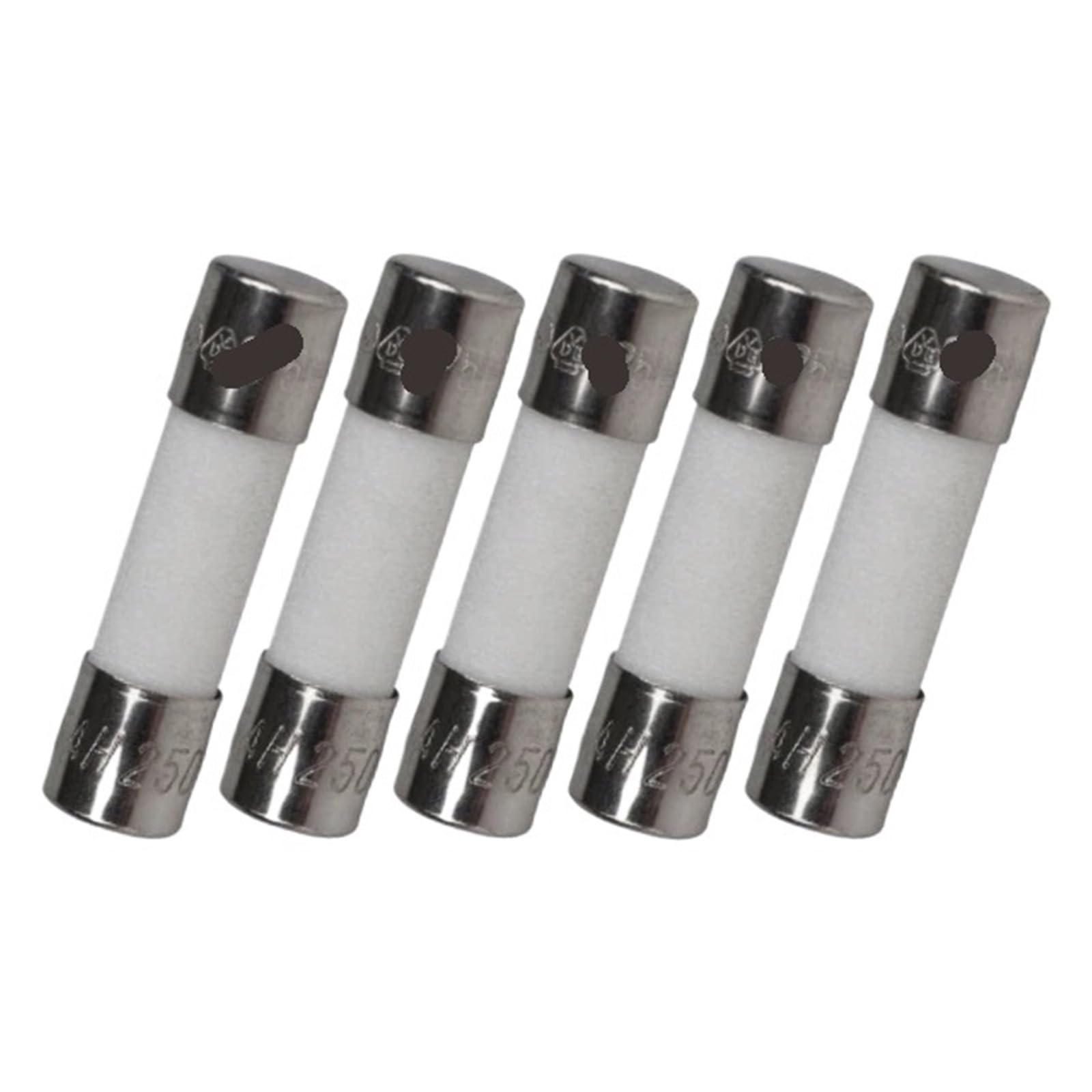 KXIWLUFV 5PCS 5X20mm 1A 250V Fuse Ceramic
