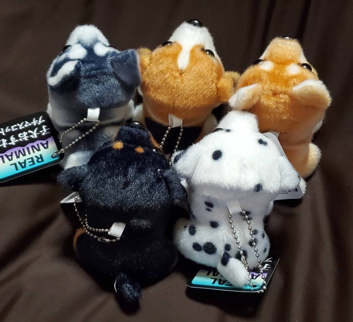 Amazon | REAL ANIMAL子犬おすわり プチマスコットBC【全5種セット