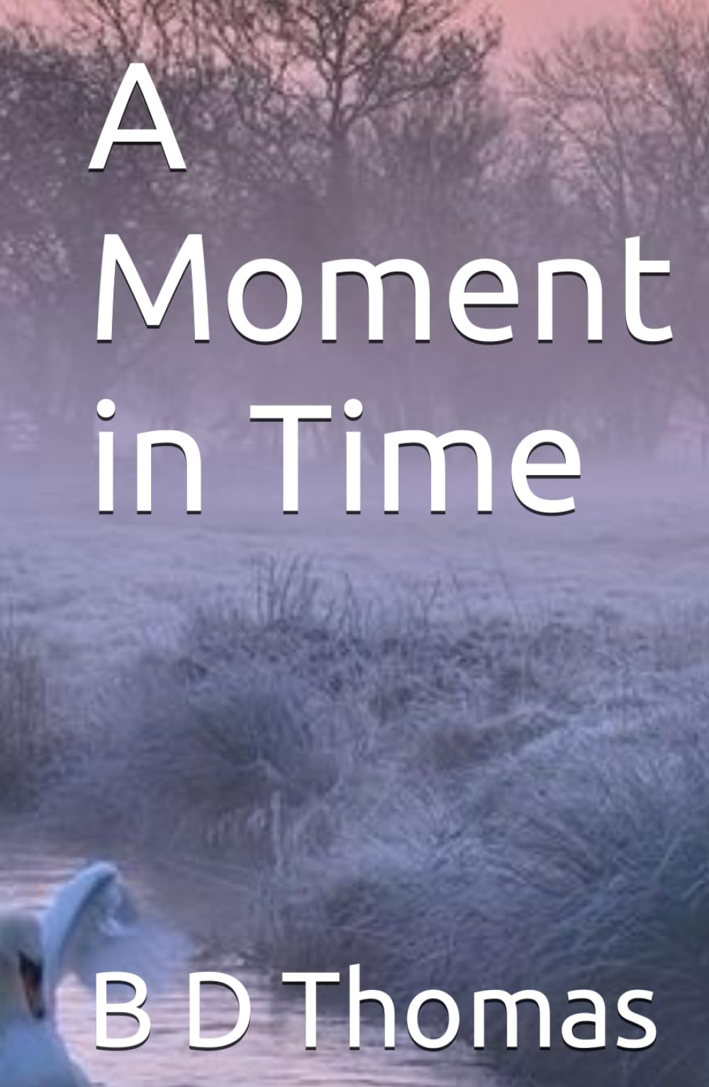 A Moment in Time