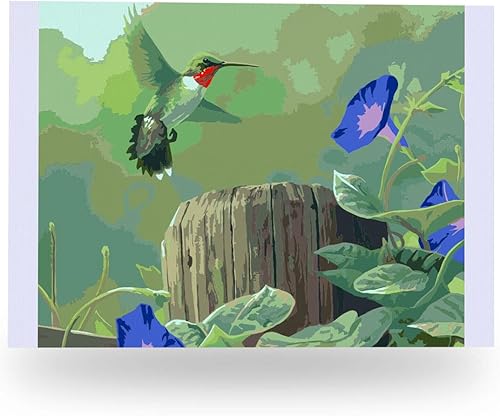 Pintura por números para adultos, de principiantes a avanzados, divertidos proyectos de arte y manualidades, Colibrí, 16 x 20 pulgadas, sin marco