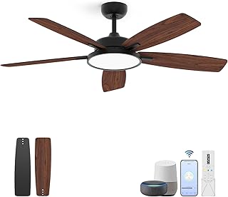 Roomratv Smart Ceiling Fan with Light