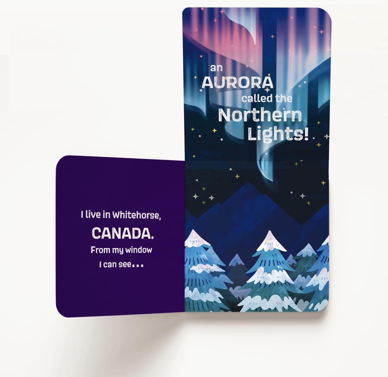 Windows to the Wonders of the World: A Lift-the-Flap Board Book of World Wonders (Windows to the World) - Image 4