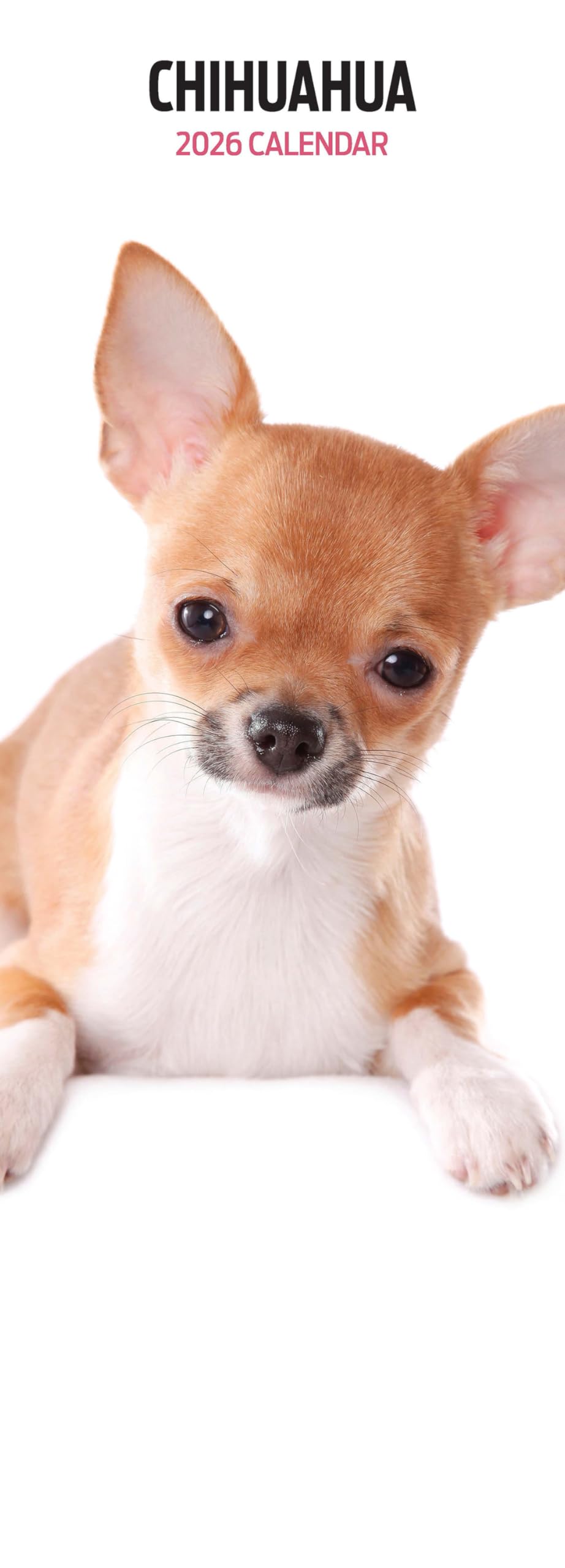 Chihuahua 2026 Slim Calendar