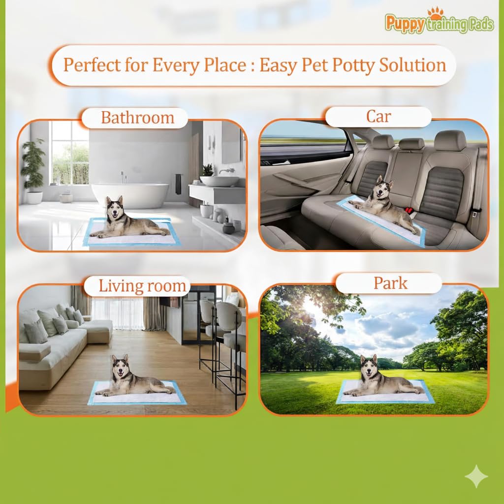 BUYOCKSS Puppy Training Pads Super Absorbent, Water Proof, Non Slippery, 40X60cm, Large, 100 Count, (puppy100)