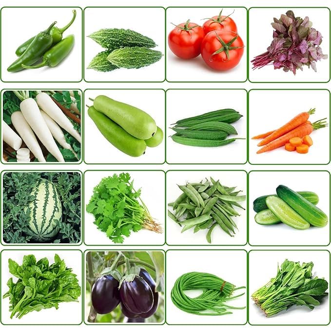 Devender Farm Vegetable Seeds Combo Pack, 16 Varieties for Home & Container Gardening, 2500+ Seeds