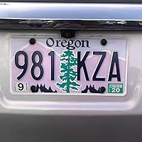 Vista 6 de YALOK Kit de tornillos antirrobo para placa de matrícula, accesorios de montaje de placa de matrícula de acero inoxidable a prueba de manipulaciones