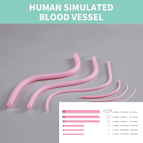 Miniatura 2 de Tira de vasos sanguíneos simulados humanos modelo-6