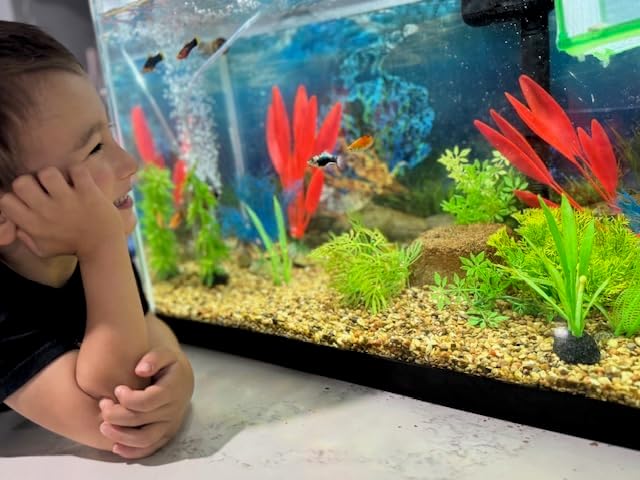 Miniatura 7 de Piedra de acuario para clarificación natural del agua y eliminación de olores con microvida beneficiosa (pequeño)