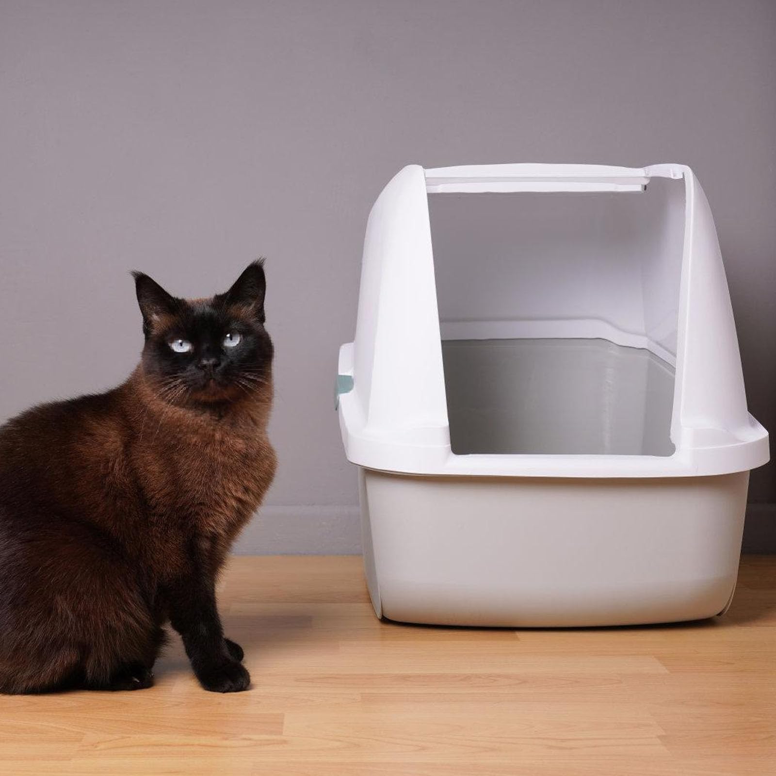 Vassoio di ricambio per lettiera autopulente, resiste ai graffi causati dall'acqua, semplice da installare, per gatti autopulente