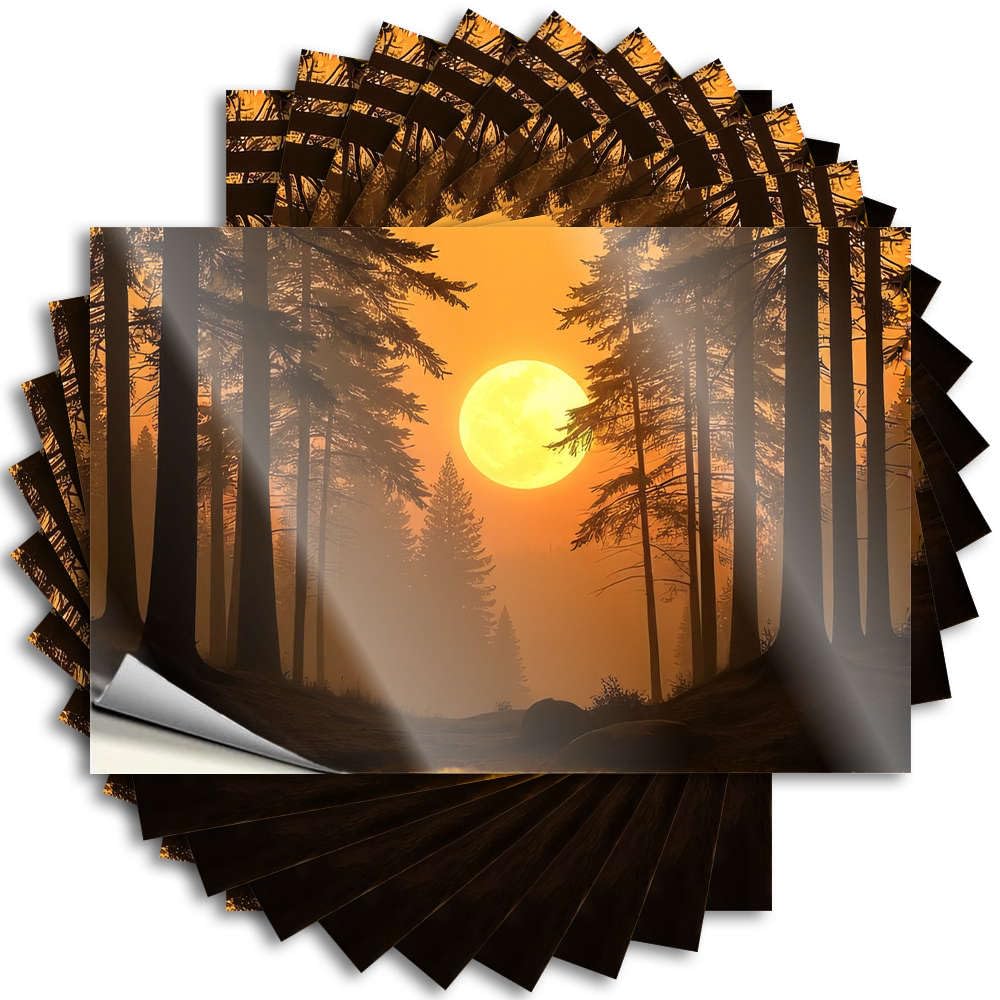Boys Bedroom Decorations, Funny Sticker Funny Hard Quote Stickers, Accent No Residue Decals for Luggage | Beer Party Favor Custom Sunset in The Forest with Tall Trees(8X12CM)
