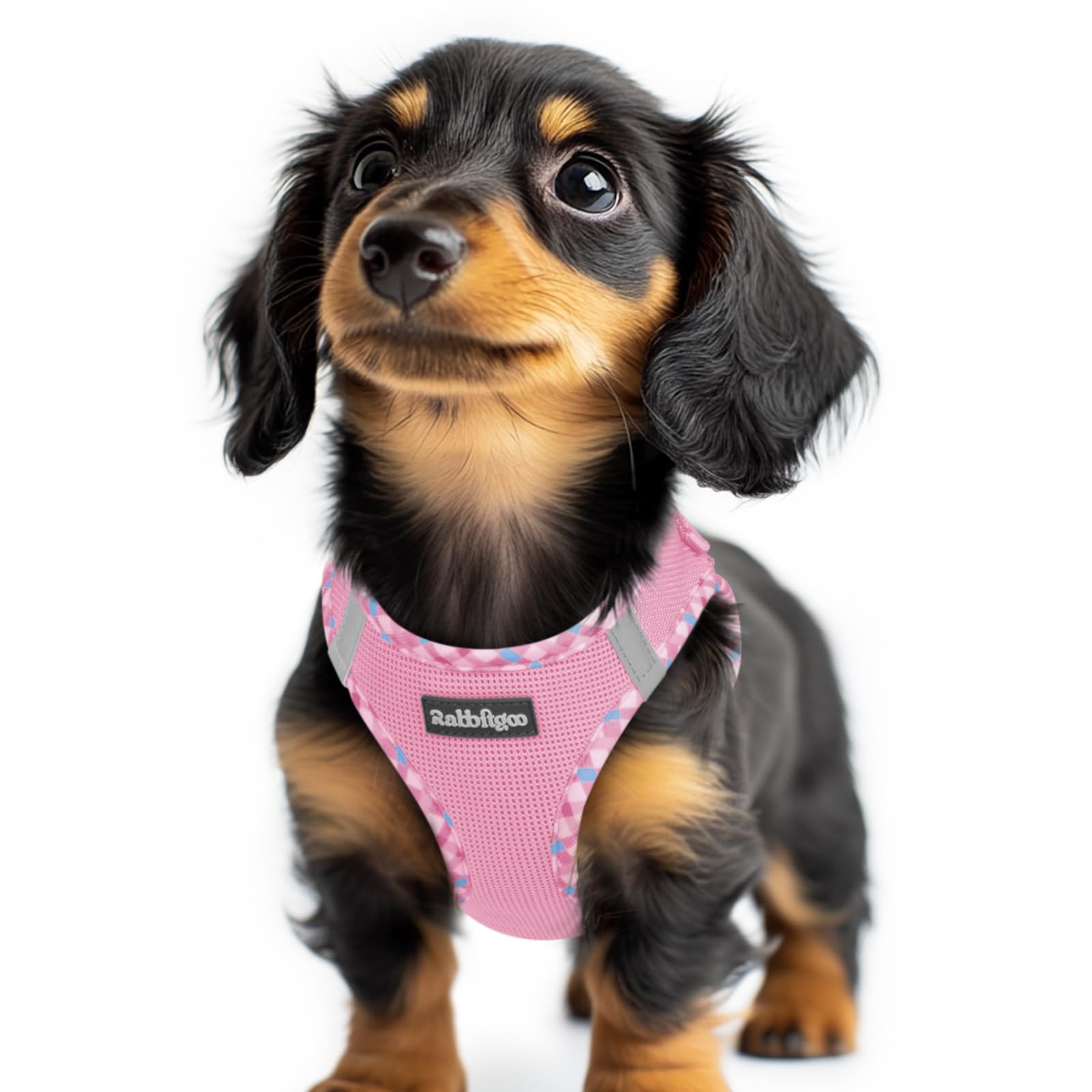 rabbitgoo Dog Harness Small Dog, Step-in Soft Mesh Puppy Harness with Reflective Strips, Lightweight Breathable Pet Vest for Walking Training, Pink & Plaid Trim, XXS