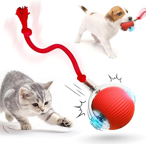 Pelota de juguete interactiva para gatos, juguetes para gatos de interior, juguetes interactivos inteligentes autoenrollables para perros, bolas de