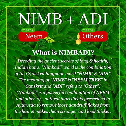 Image of The Indie Earth Nimbadi 2-in-1 Shampoo with Conditioner for Healthy Hairs, Inspired By Ayurveda & Formulated with Neem, Basil, Ginger, Tea Tree & Other 19+ Precious Extracts 300 ml