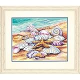 Dimensions Paint Works 73-91526 Shells Paint by Number Kit