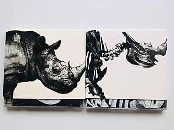 Amazon.co.jp: 【2枚セット】Mr.Children 1992-1995-2000 ミスチル