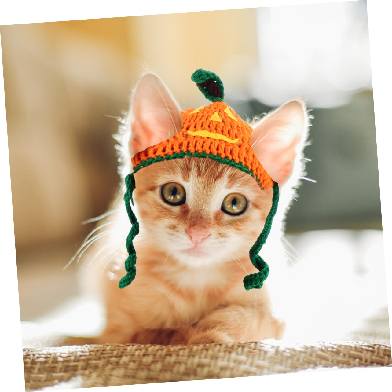 Sosoport 3 Pezzi Cappello Per Animali Domestici Di Halloween Cappello Esclusivo Per Animali Domestici Di Zucca Fatto A Mano Per Gatti