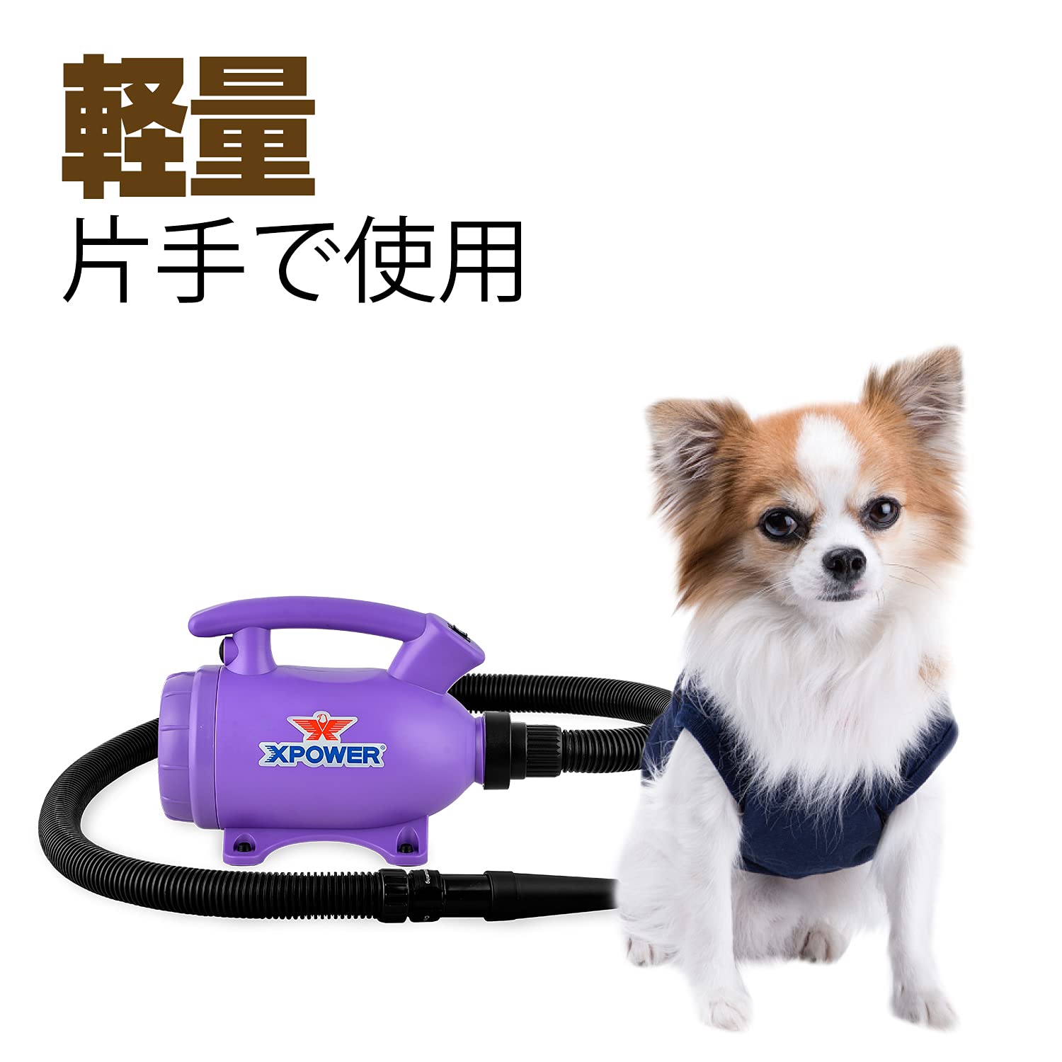 Amazon | XPOWER B-55 ペットドライヤー 業務用ドライヤー 猫
