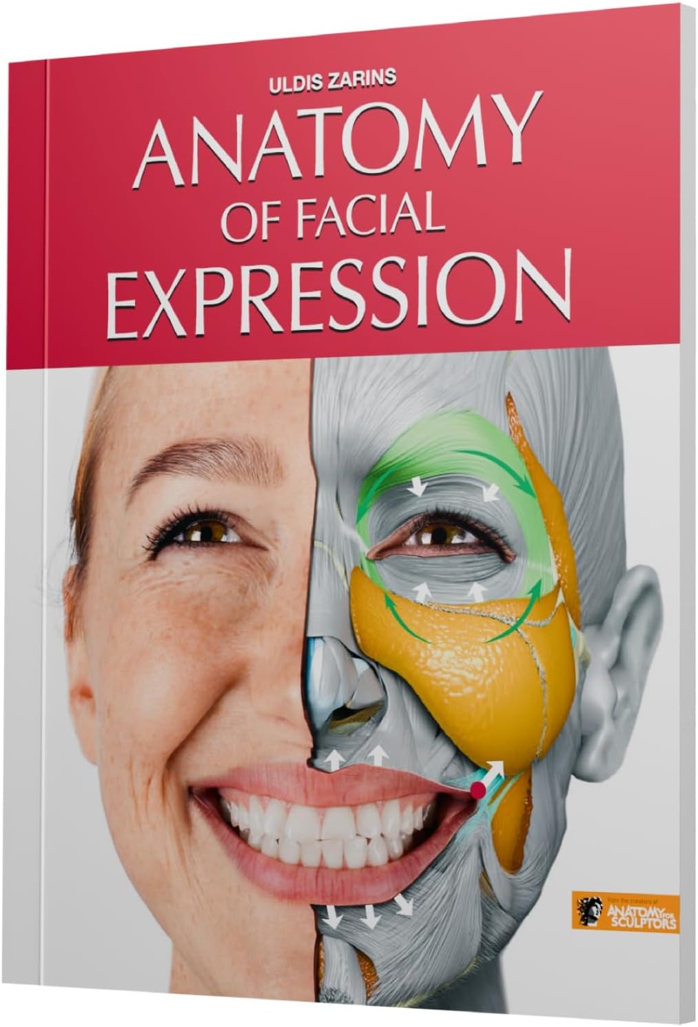 Anatomy of Facial Expressions